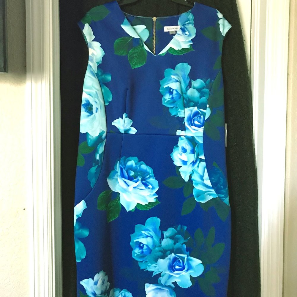 Plus Size Calvin Klein Floral Dress